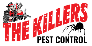 Zeroing In On Pest Control – What You Need To Know